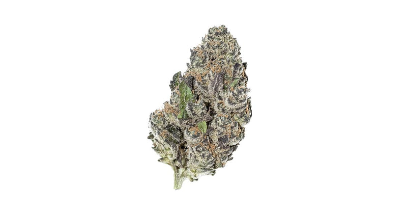 Critical Candy