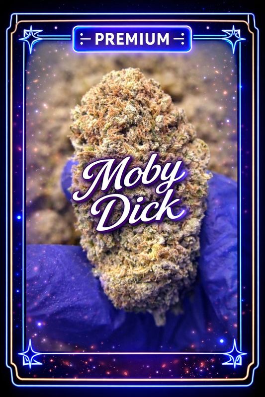 Moby Dick